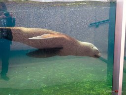 Tiergarten Schönbrunn am 23.03.2023
